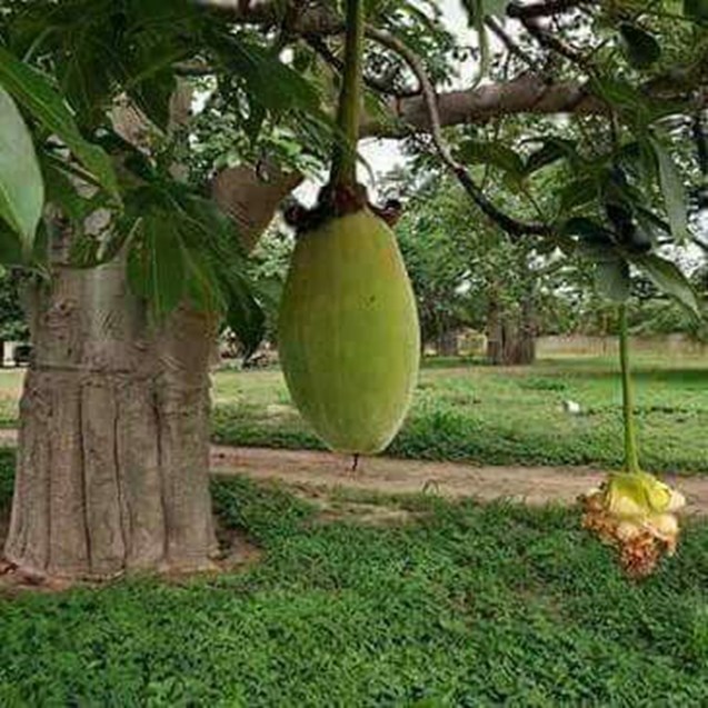 السودانية موعد السفارة طريقة حجز